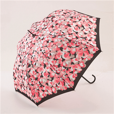 �􉽕� �W�����v�P